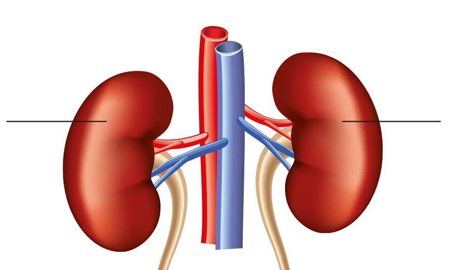 hypertension réno-rénale